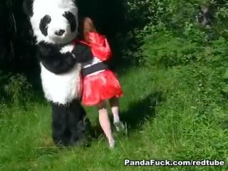 Punainen ratsastus huppu perseestä mukaan panda