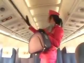 Inviting stewardessa ssanie męskość przed nieprofesjonalny
