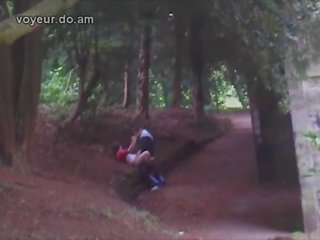 Pareja pillada follando en bosque